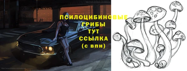 бутират Осинники