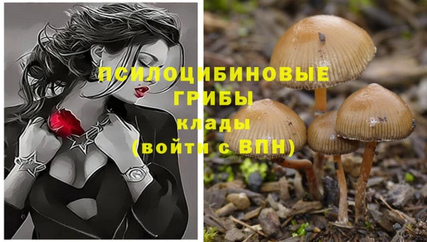 бутират Осинники