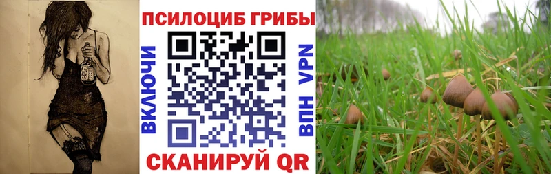 Псилоцибиновые грибы GOLDEN TEACHER  наркотики  Ядрин 